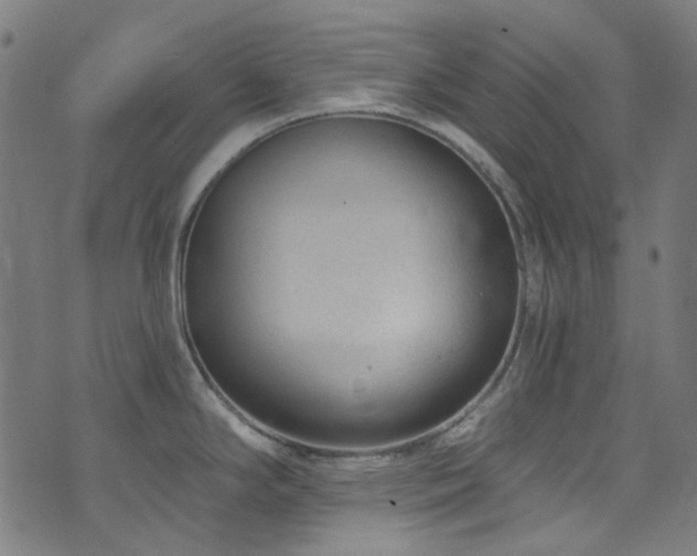X0000076421294200610061155