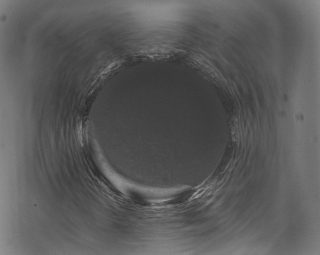 X0000076421298200610061154