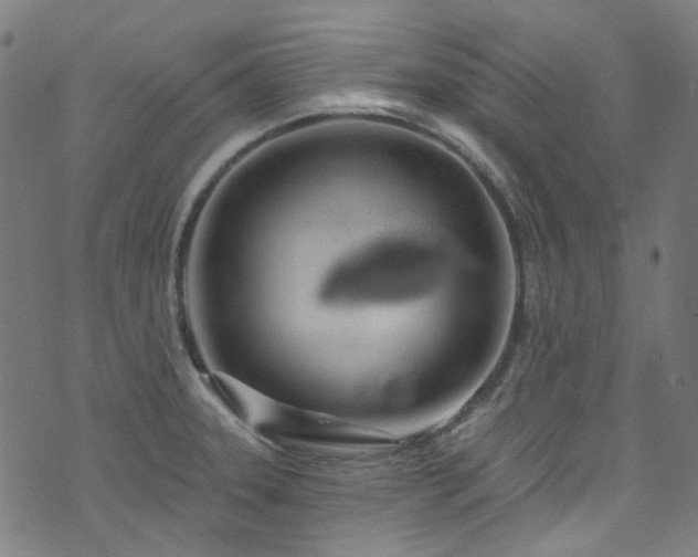 X0000076421331200610061155