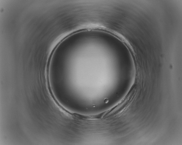 X0000076421343200610061155