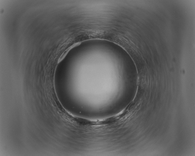 X0000076421345200610061154