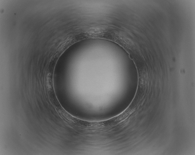 X0000076421346200610061154