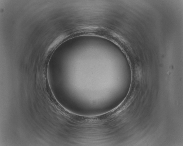 X0000076421354200610061154
