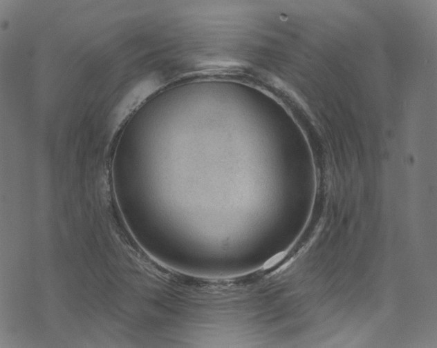 X0000076421362200610061154