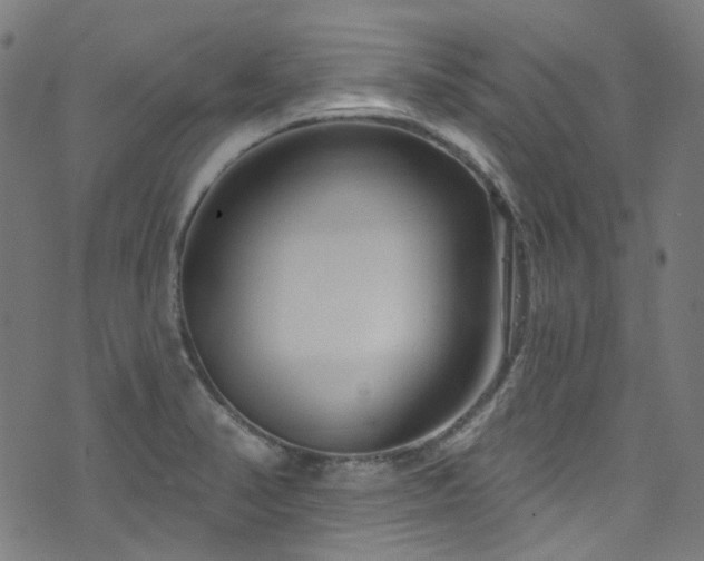 X0000076421374200610061154