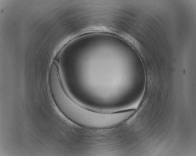X0000076421382200610061154