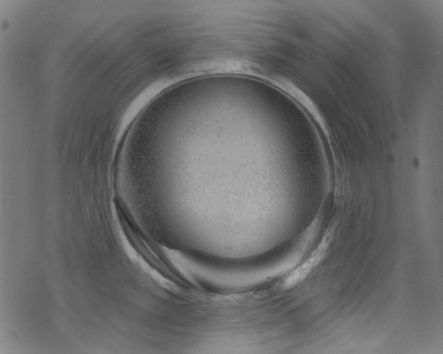 X0000076421389200610061153
