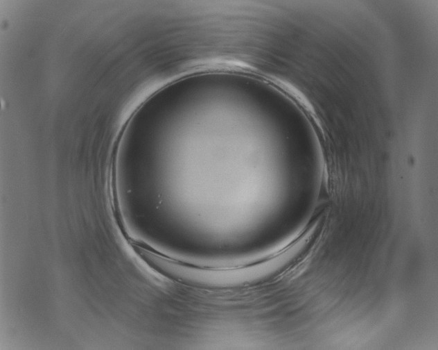 X0000076421391200610061153