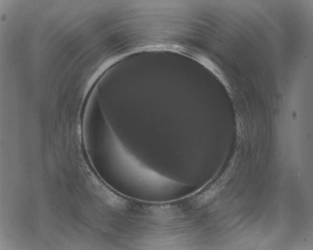 X0000076421428200610061153