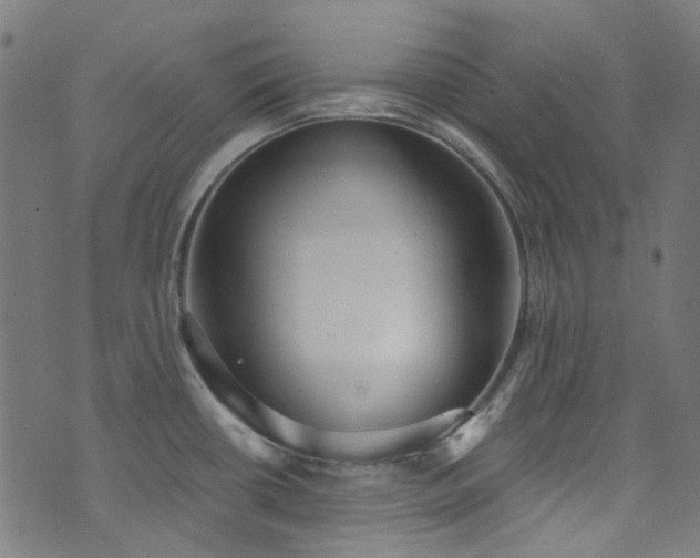 X0000076421434200610061153