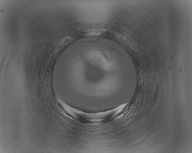 X0000076421441200610061153