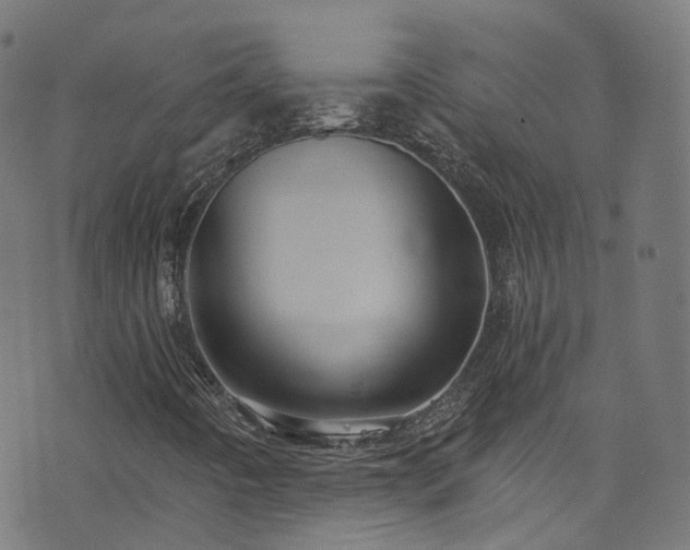 X0000076421442200610061153