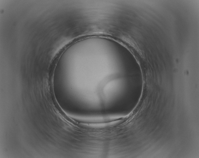 X0000076421452200610061152