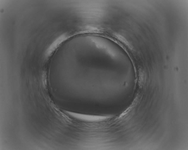X0000076421455200610061152