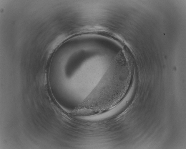 X0000076421459200610061152