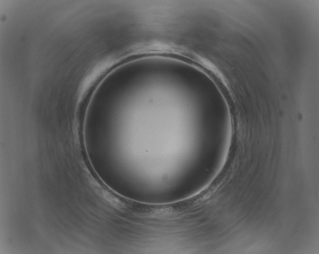 X0000076421464200610061152