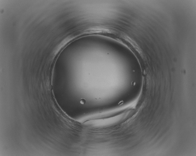 X0000076421465200610061152