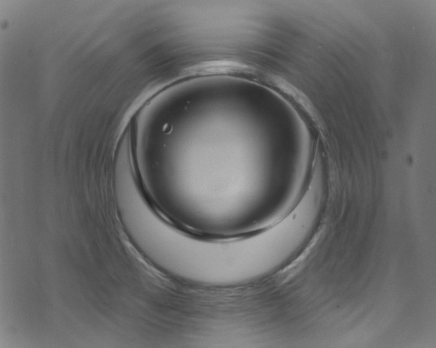 X0000076421473200610061152