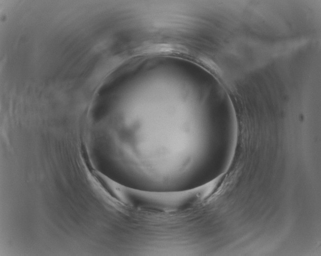X0000076421475200610061152