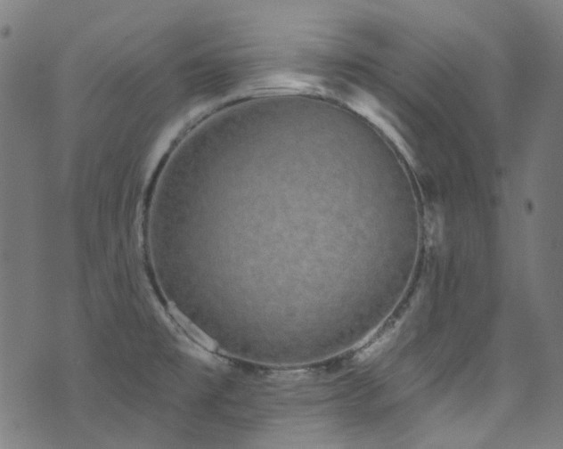 X0000076421477200610061152