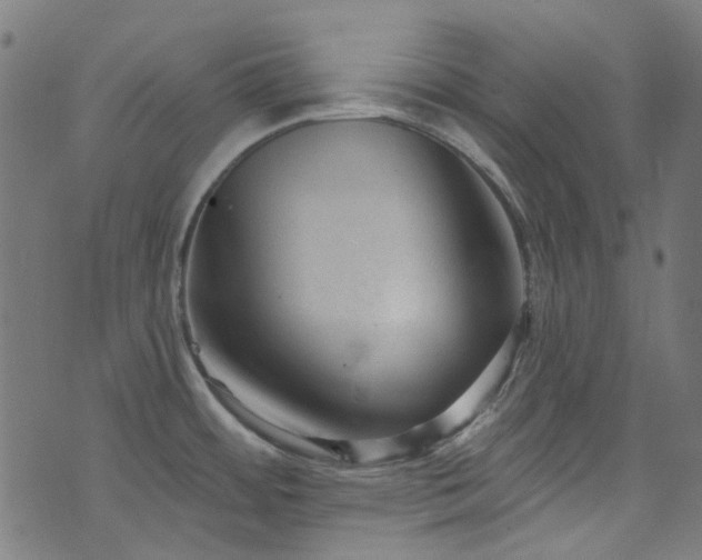 X0000076421484200610061152