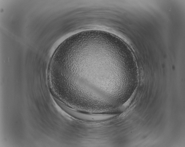 X0000076421535200610061152