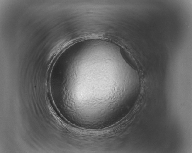 X0000076420002200610161139