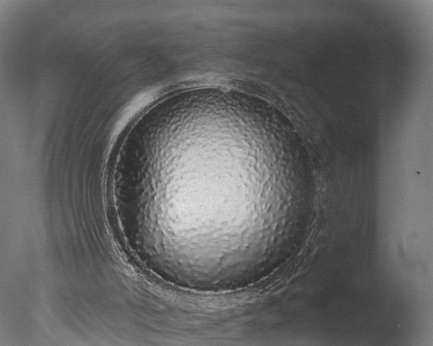 X0000076420006200610161138
