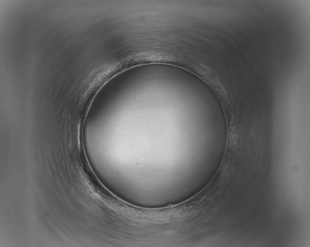 X0000076420014200610161138