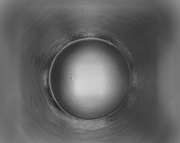 X0000076420026200610161138