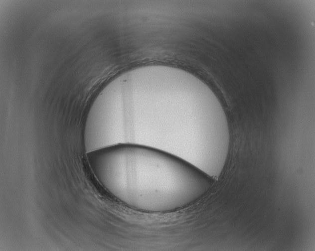X0000076420027200610161138