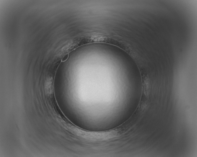 X0000076420034200610161138