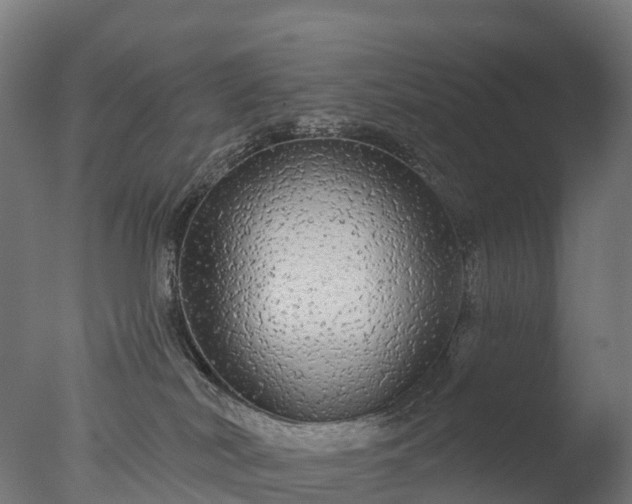 X0000076420038200610161138