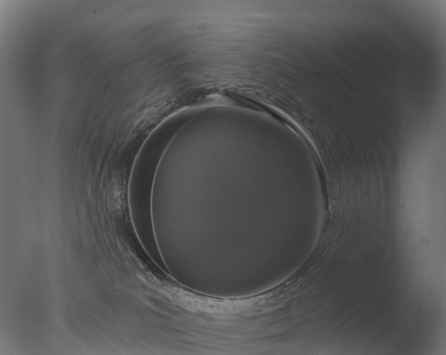 X0000076420039200610161138