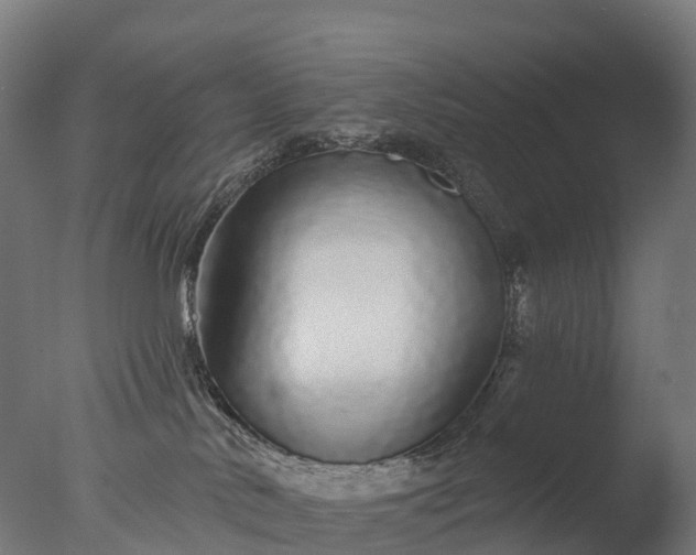 X0000076420042200610161138