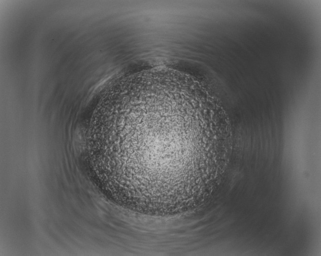 X0000076420043200610161138