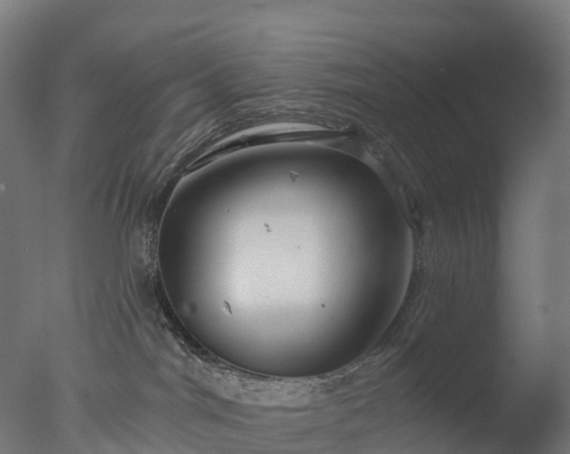 X0000076420044200610161138