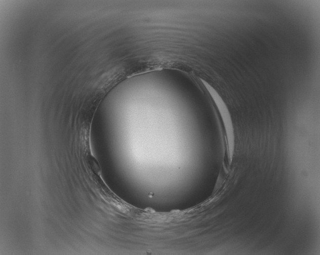 X0000076420045200610161138