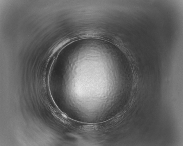 X0000076420050200610161137