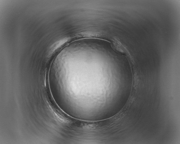X0000076420062200610161137