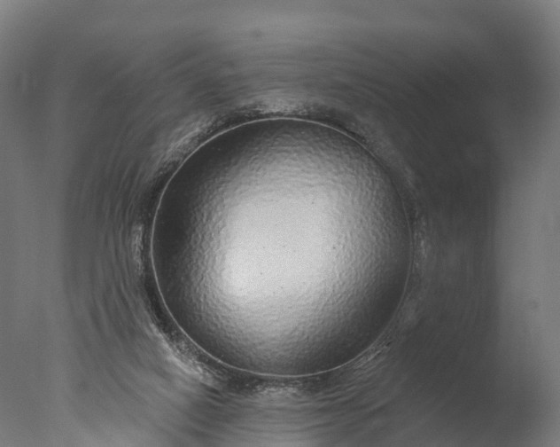 X0000076420066200610161137