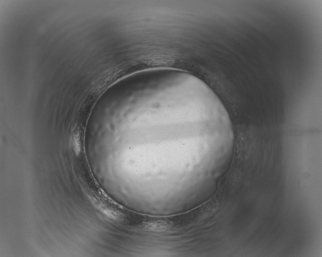 X0000076420069200610161137