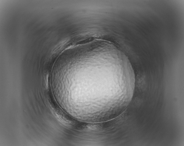 X0000076420070200610161137