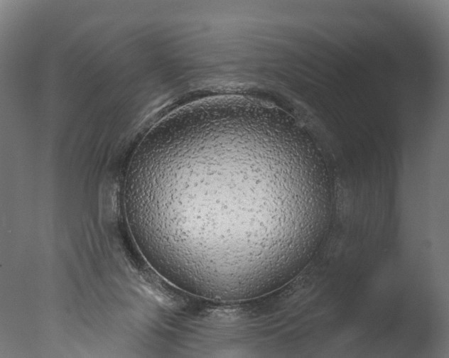 X0000076420071200610161137
