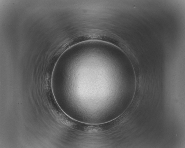 X0000076420073200610161137