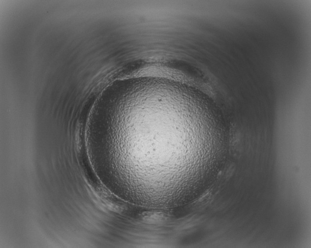 X0000076420074200610161137