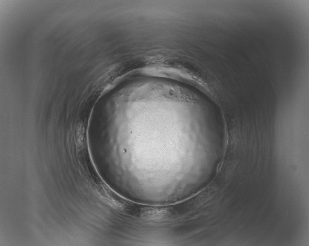 X0000076420081200610161138