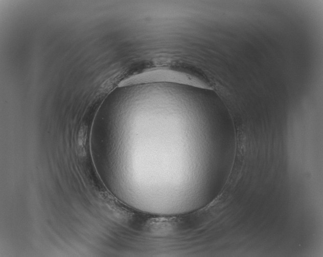 X0000076420082200610161138