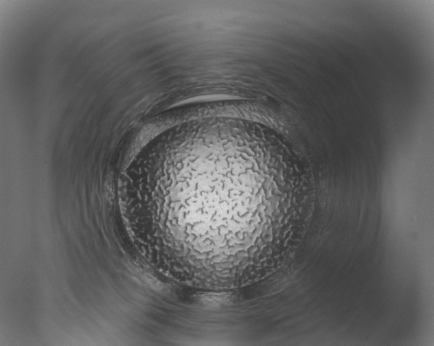 X0000076420085200610161138
