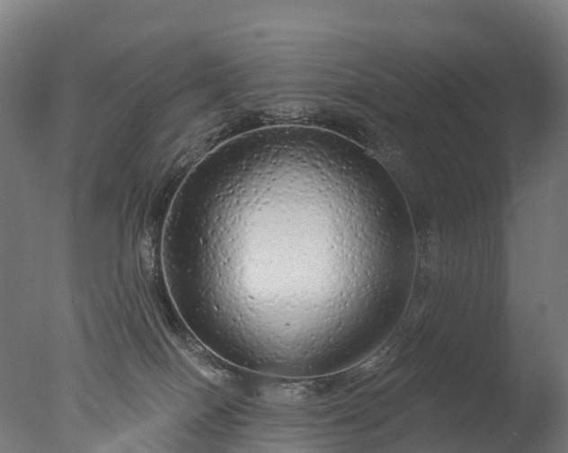 X0000076420086200610161138